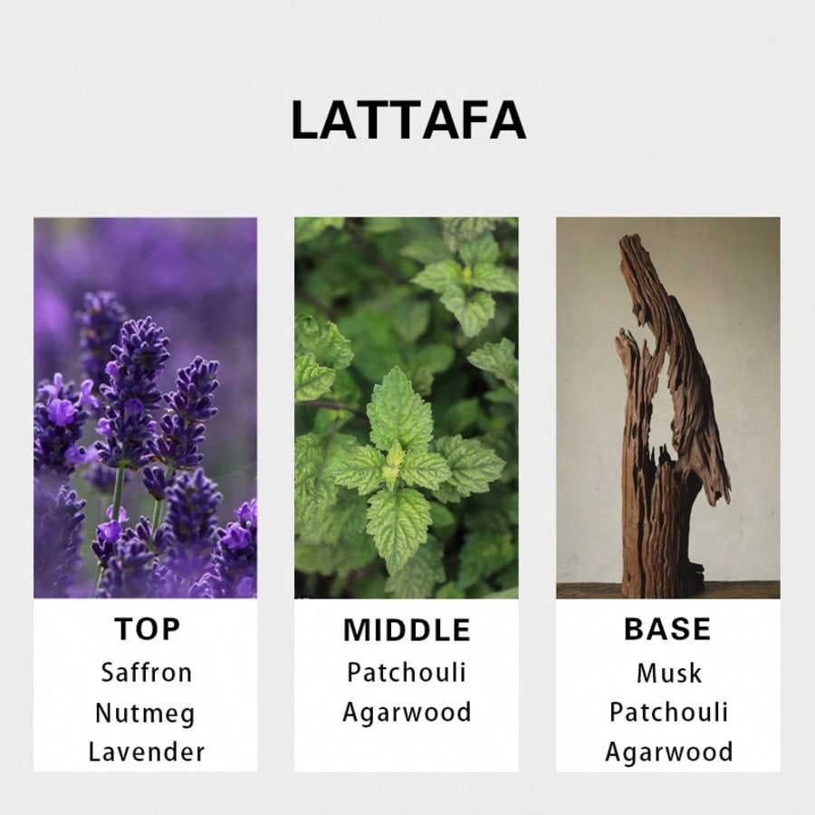 Lattafa Badee Al Oud For Glory - Perfume Adrien Fragrance avis et prix