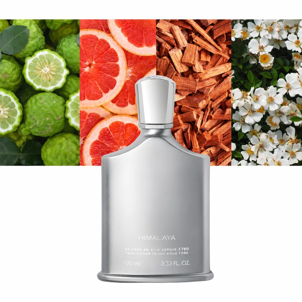 Parfum Aventus pour Homme 100m - Perfume Fresh Fragrance avis et prix